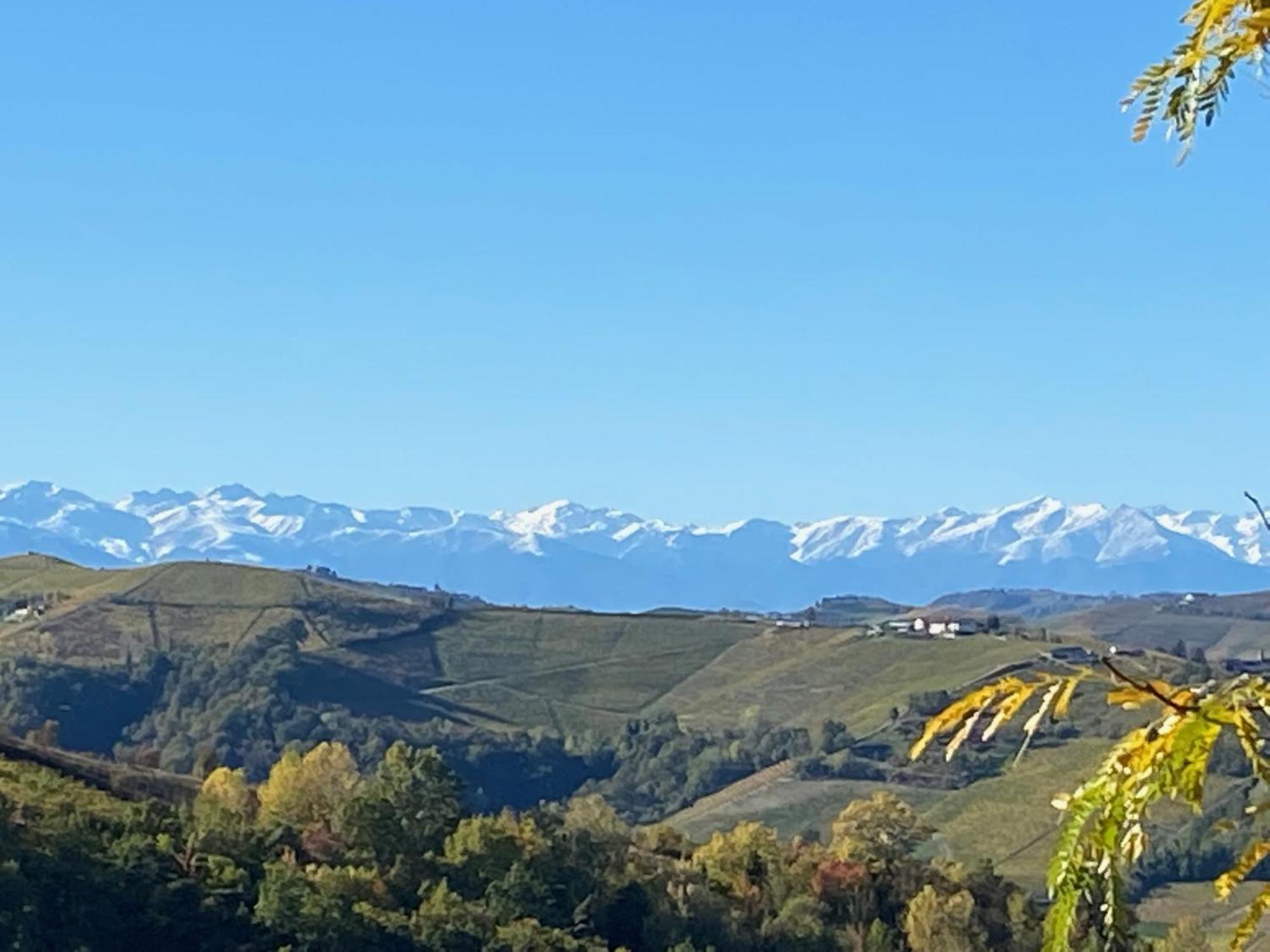 Viasavona46 Nel Cuore Delle Langhe Treiso Exterior photo